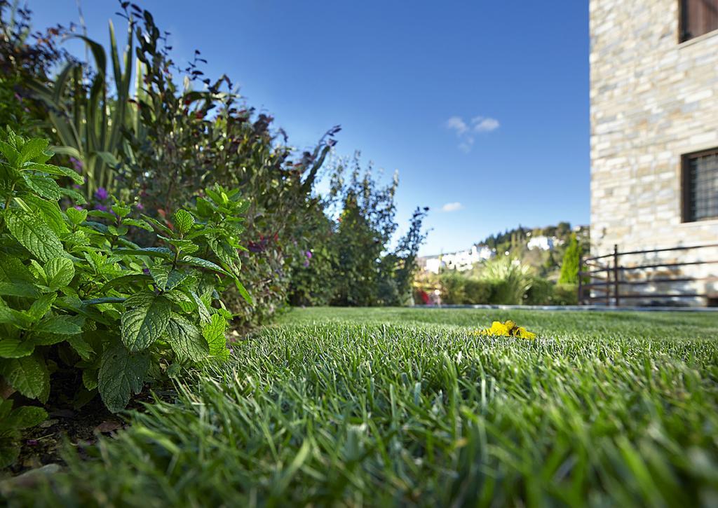 Stevalia Hotel & Spa Katochori Dış mekan fotoğraf